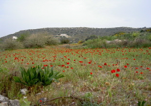 PICT0871