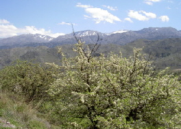 PICT0901